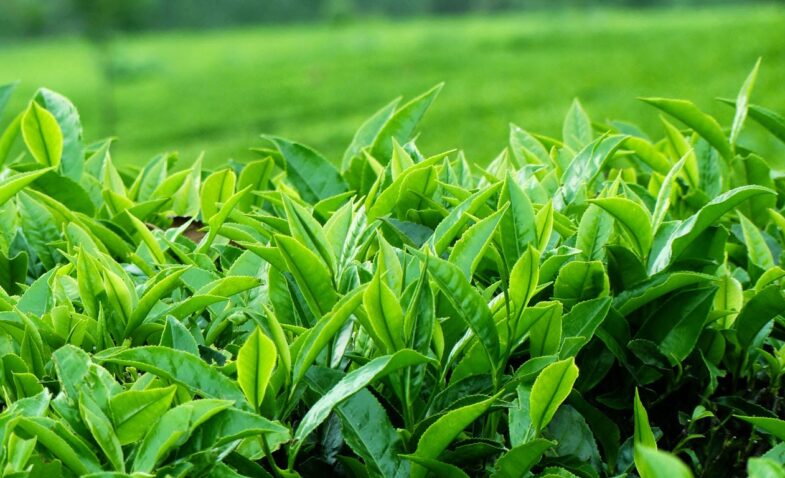 8 chia sẻ khi du lịch Hong Kong