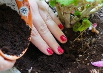 5 Tác Dụng Bất Ngờ Của Bã Trà Xanh